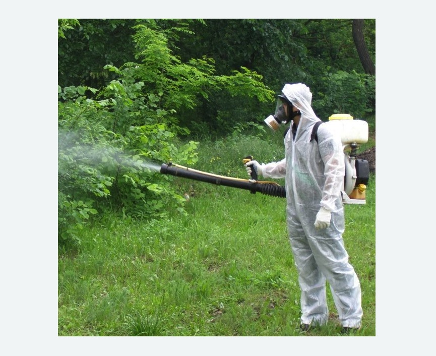обработка дачи от клещей обработка территории от клещей в Камне-на-Оби