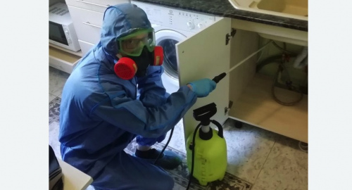 Уничтожение муравьев в квартире. Камень-на-Оби