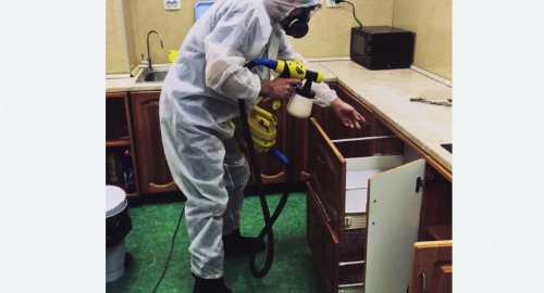 Уничтожение насекомых в квартире. Камень-на-Оби