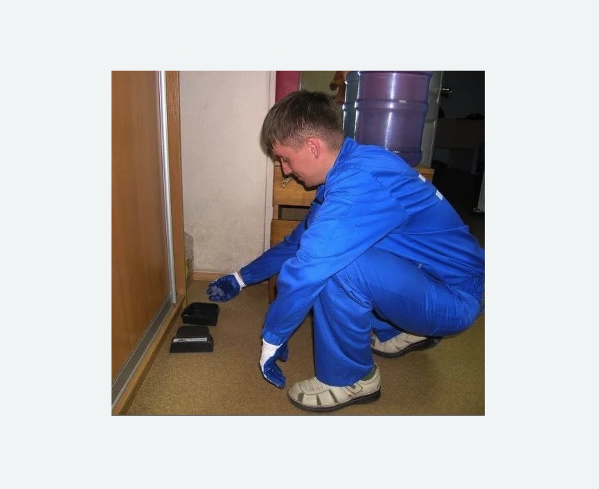 Дератизация крыс в Камне-на-Оби