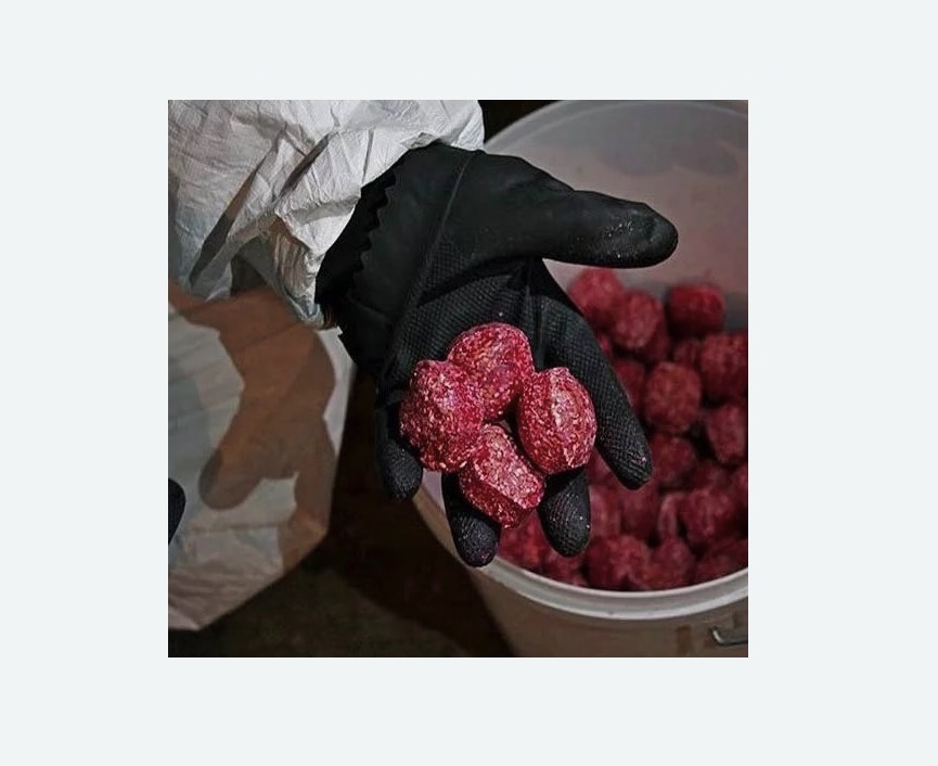 Обработка от крыс в Камне-на-Оби