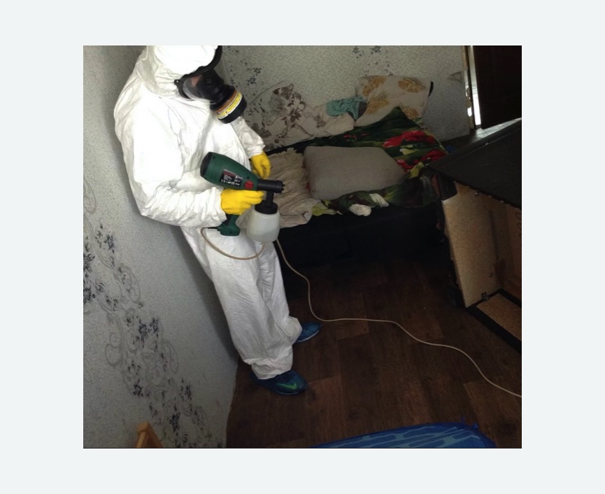 Обработка от насекомых в Камне-на-Оби Обработка квартиры от насекомых