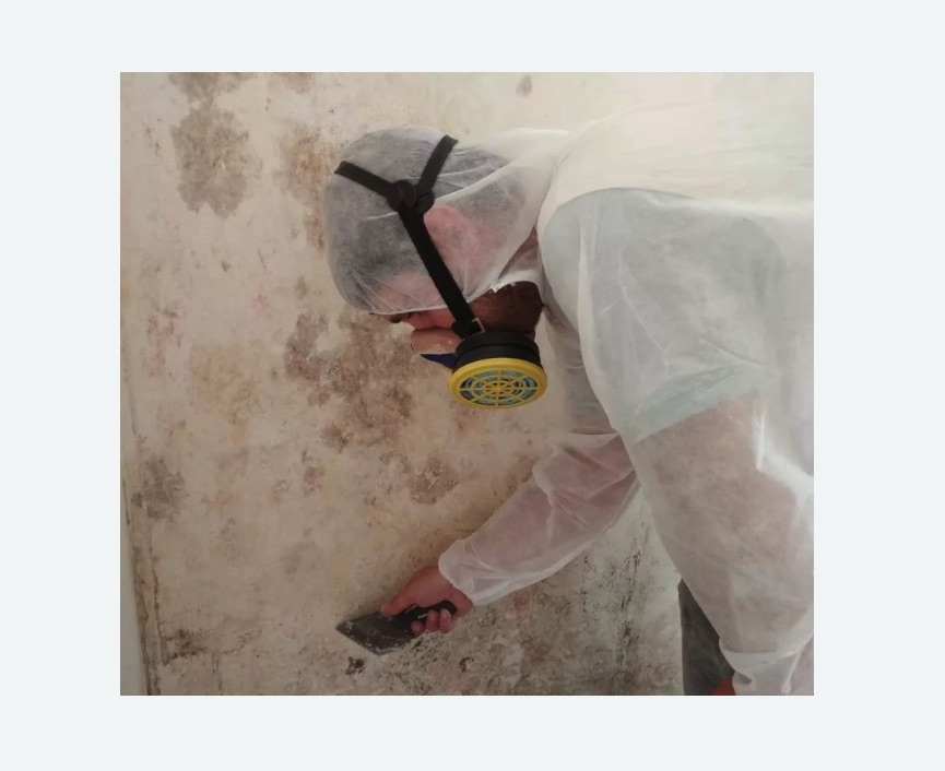Обработка стен от плесени в Камне-на-Оби