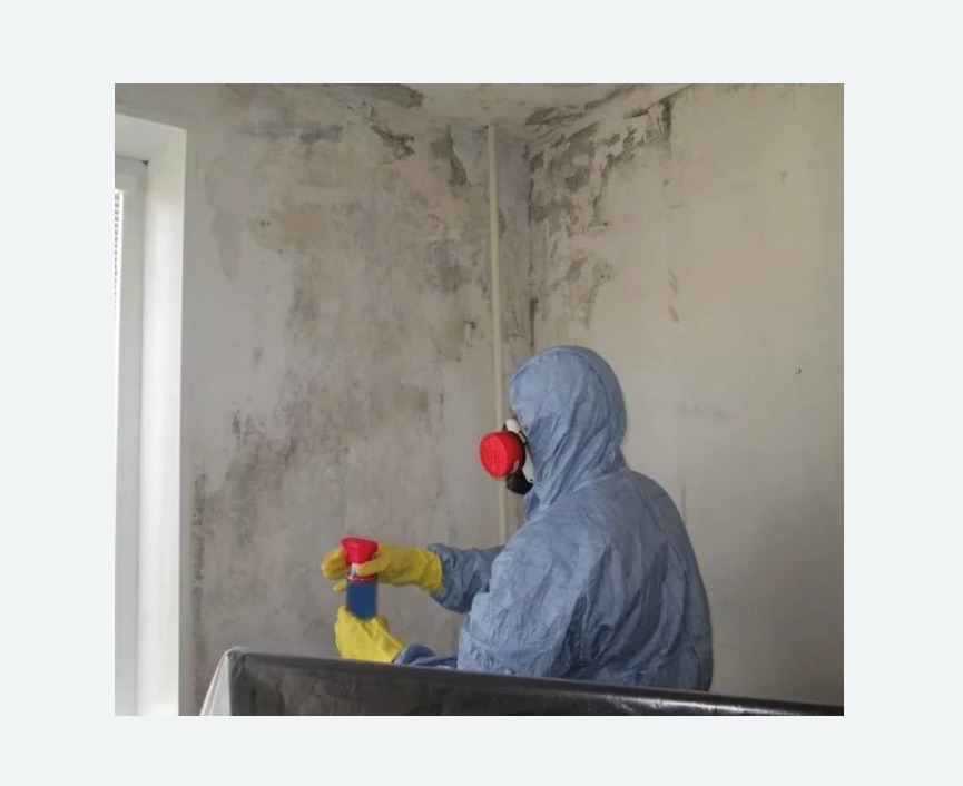 Удаление плесени в квартире в Камне-на-Оби