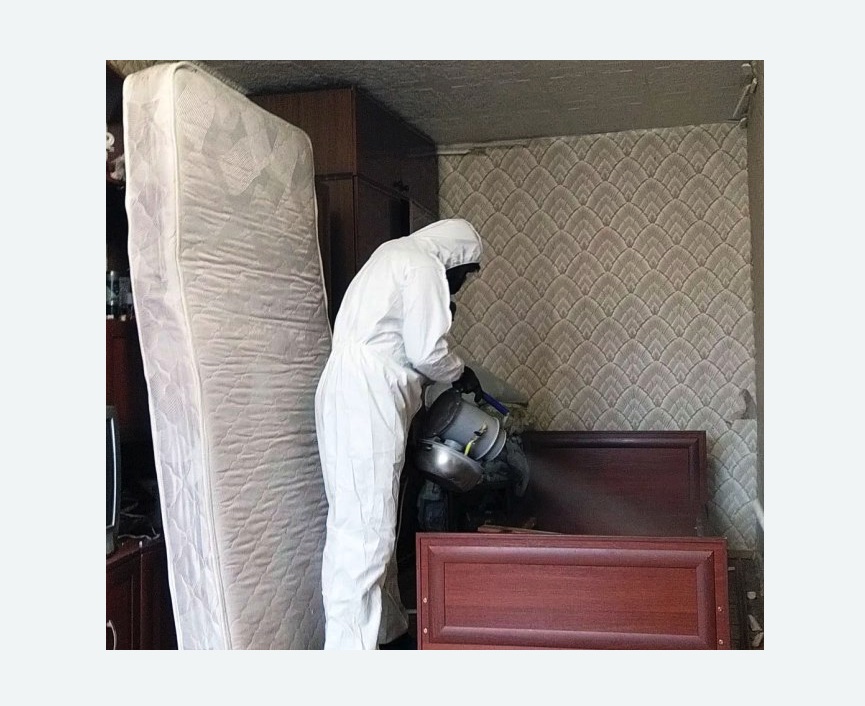 дезинфекция от клопов дезинфекция от клопов в Камне-на-Оби