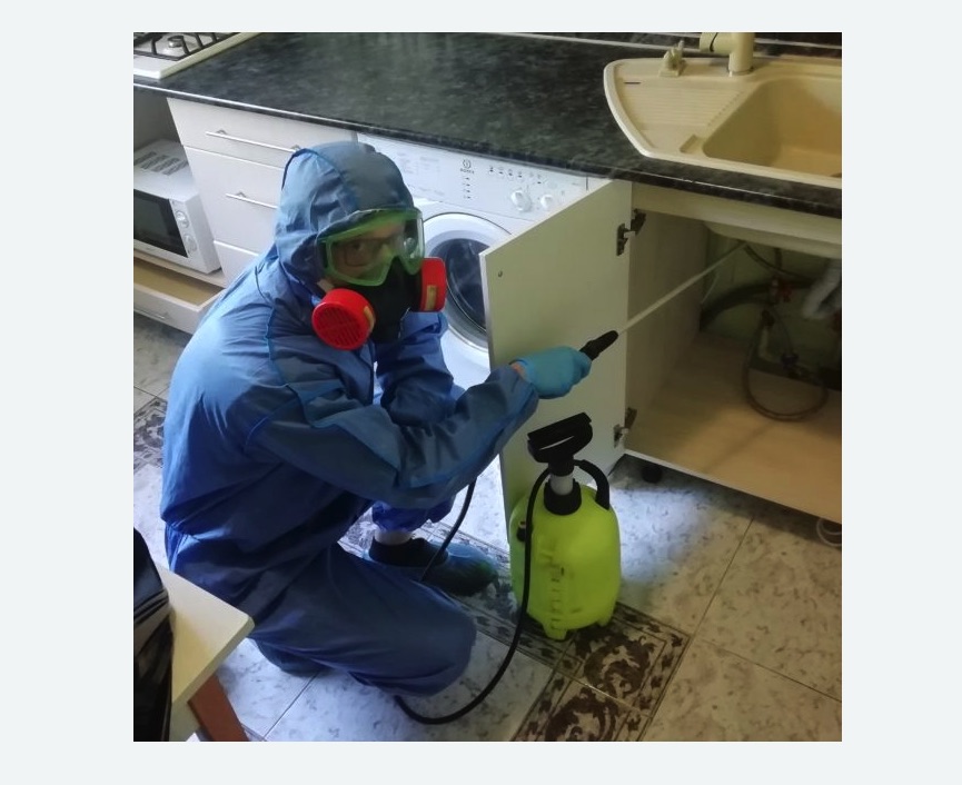 обработка от муравьев в квартире в Камне-на-Оби