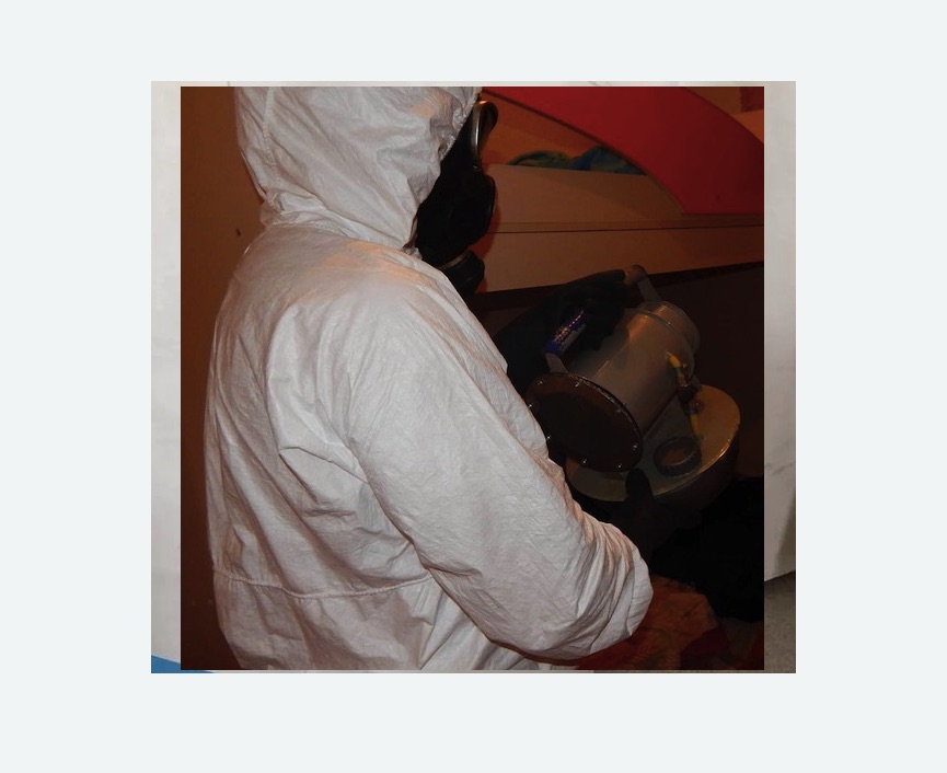 Дезинфекция от муравьев в Камне-на-Оби